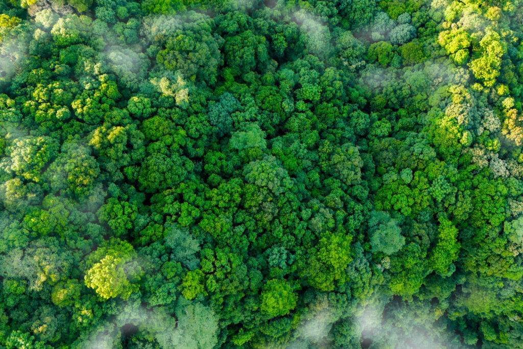 Mettere al centro le persone vuol dire anche rispettare l’ambiente con pratiche sostenibili per il centro oculistico, a Milano